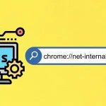 chrome.//net-internals/dns