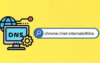 chrome.//net-internals/dns