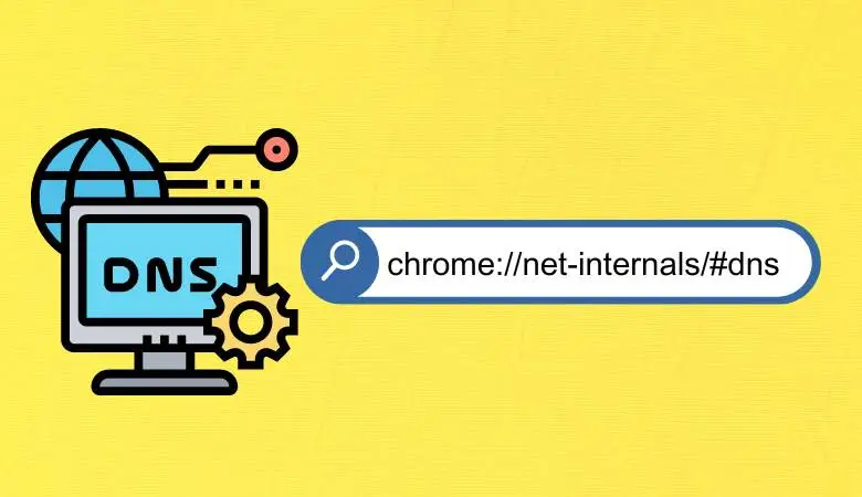 chrome.//net-internals/dns